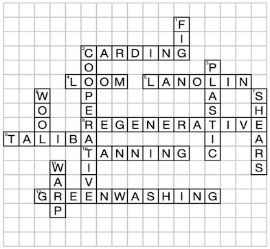 Ethical Fashion CrossWord Puzzle Solution
